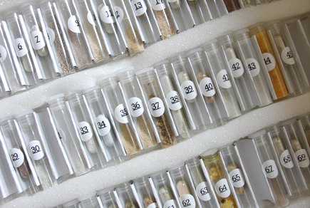 Testampullen für die kinesiologische Regulationstestung